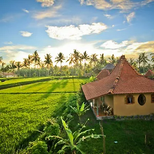 dragonfly-village.ubudhotelsnow.com/